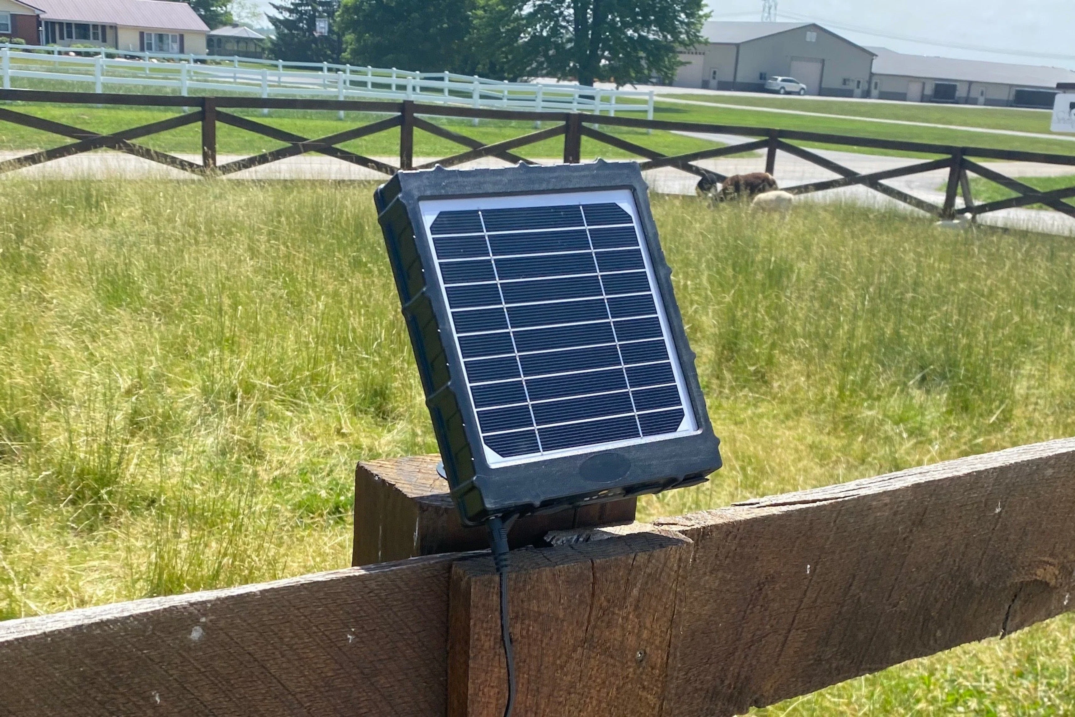 12V Solar-Panel - For AutoRoost Opener - Image 4