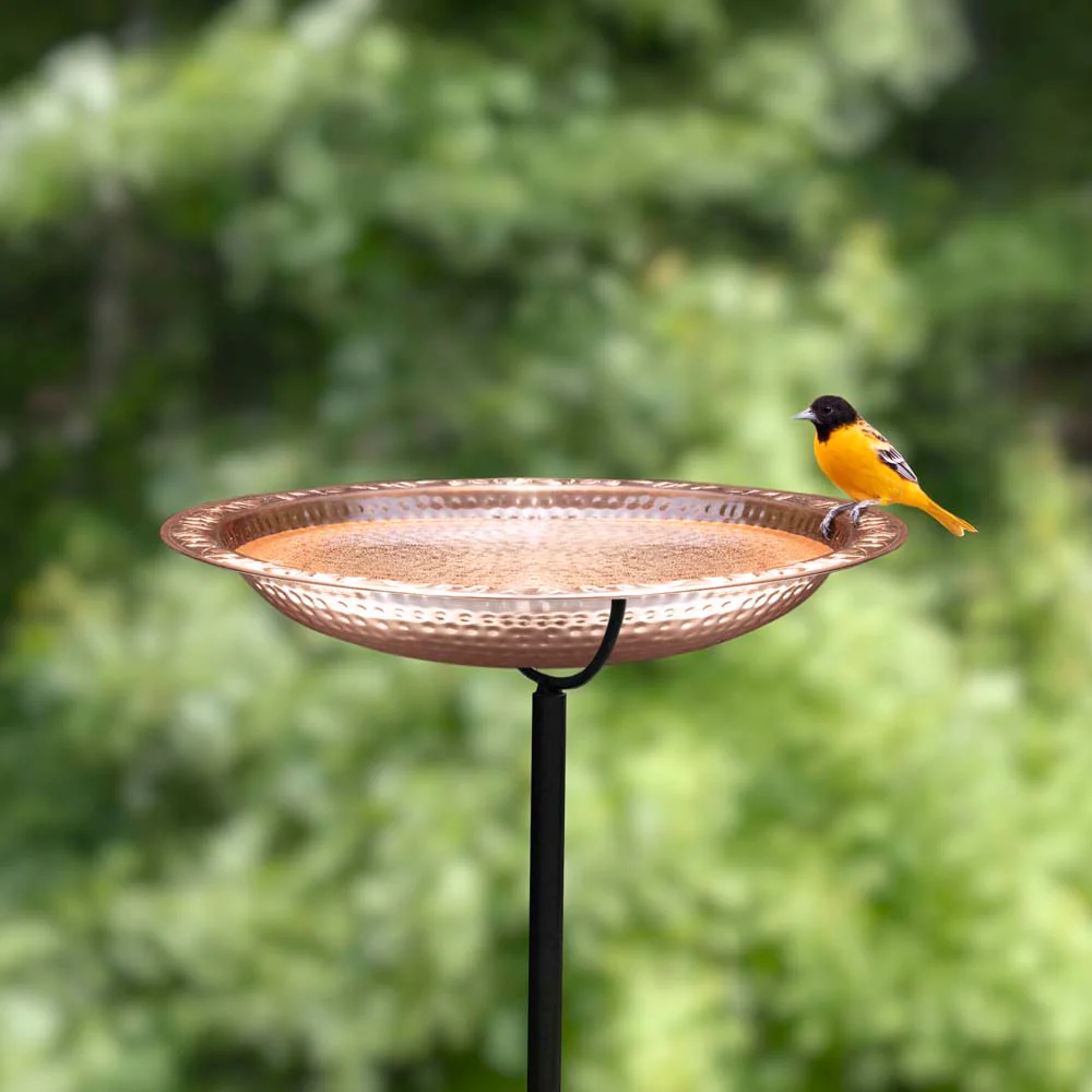 Pure Copper Bird Bath with Garden Pole - Image 10