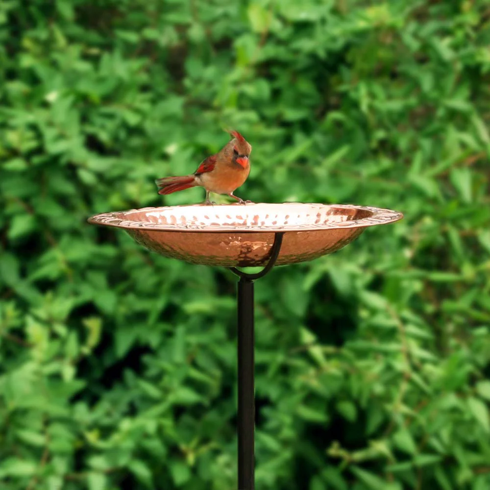 Pure Copper Bird Bath with Garden Pole - Image 2