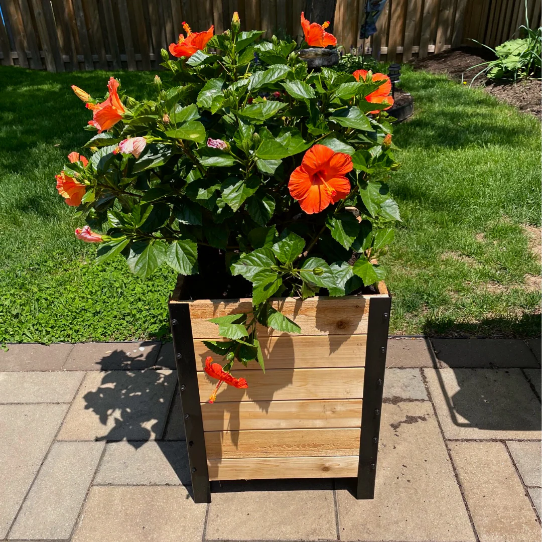 18" x 18" Planter Box 24" Tall - Image 7