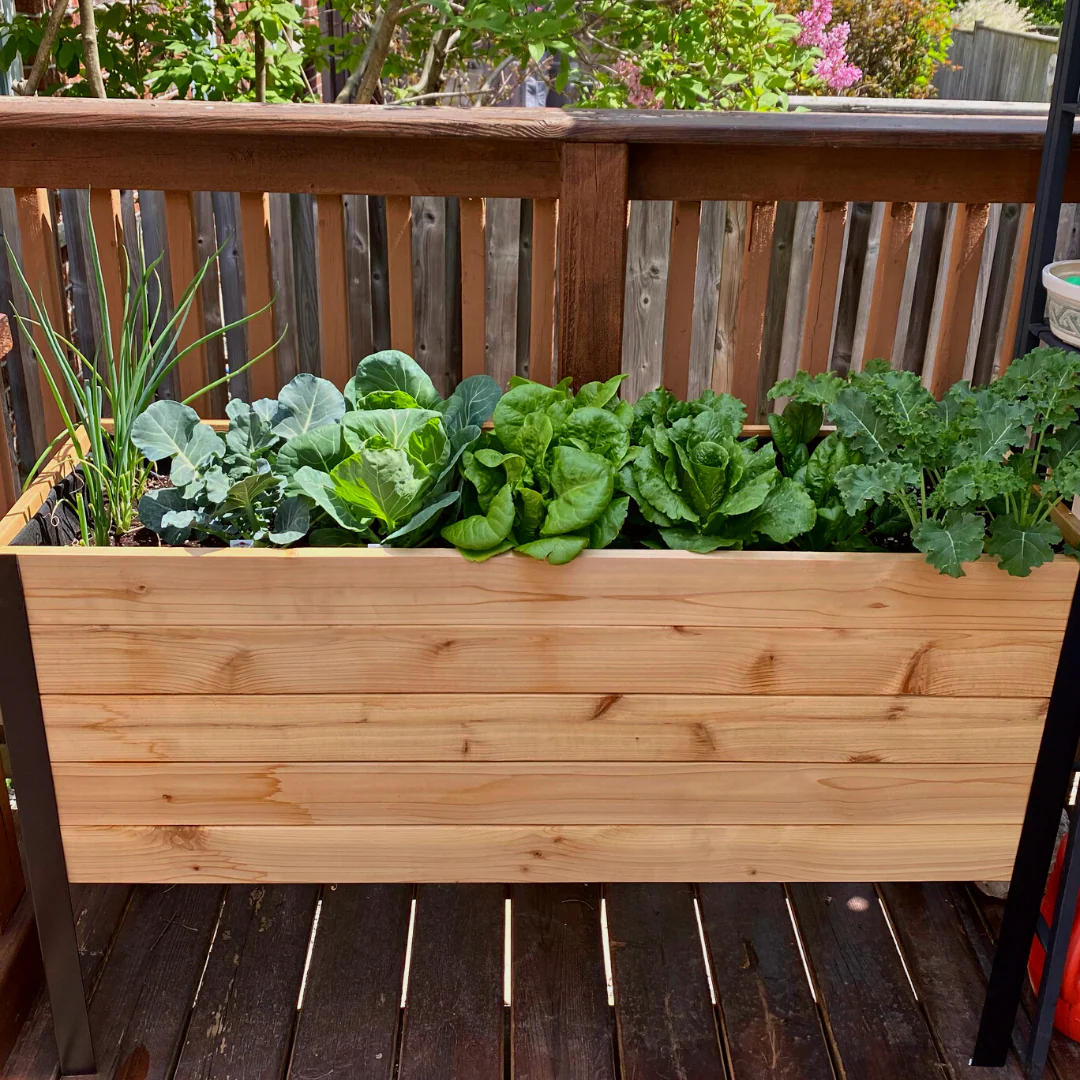 18" x 48" Raised Garden Bed - Image 7
