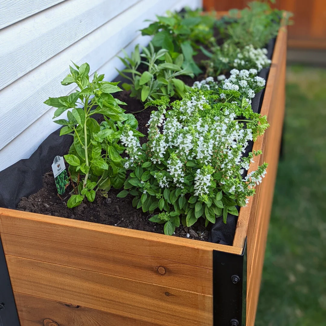 18" x 72" Planter Box - 24" Tall - Image 6