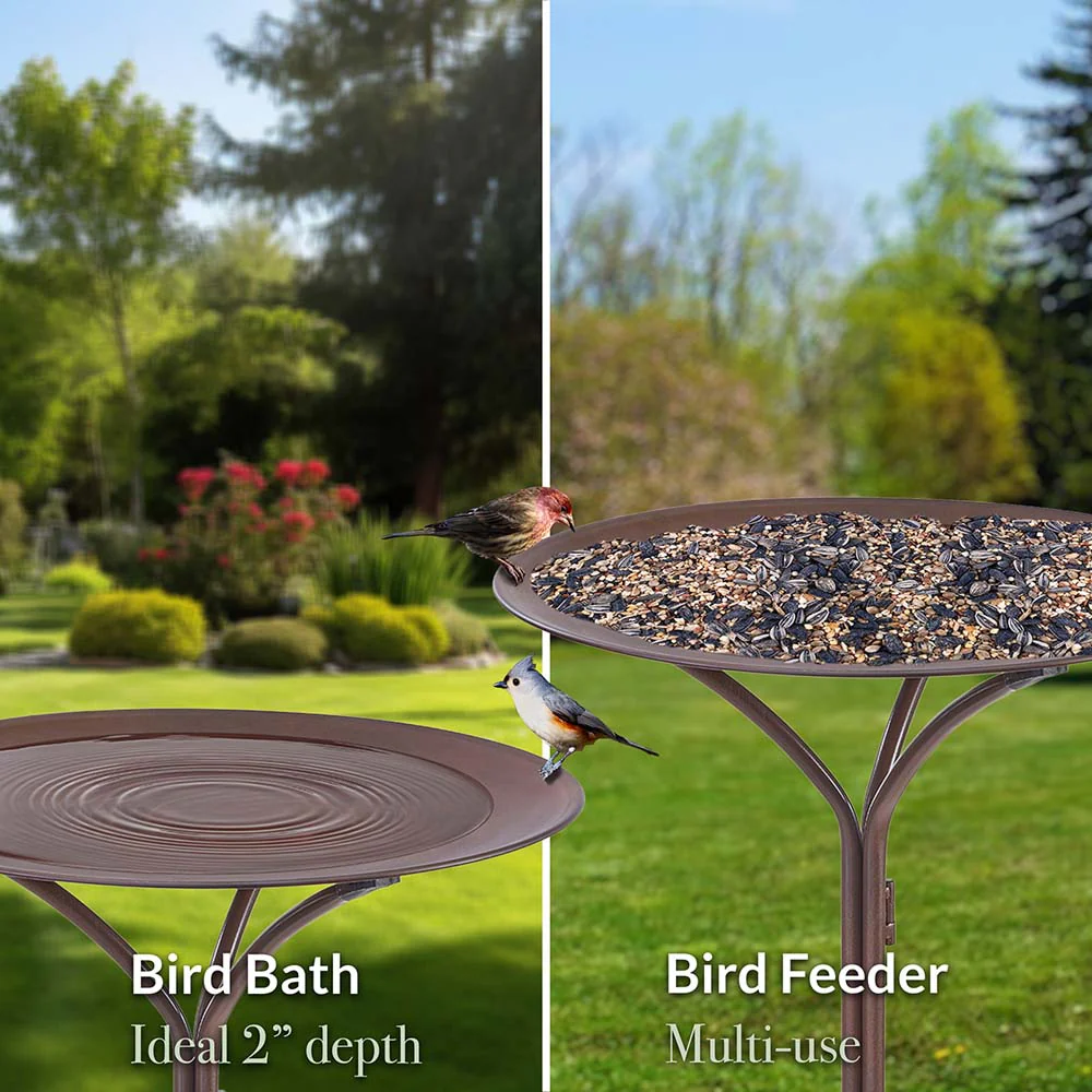 20" Rust Bird Bath with Stand - Image 2