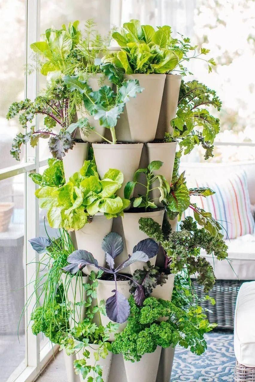 5 Tier GreenStalk Garden Original Vertical Planter - Basic Texture - Image 6