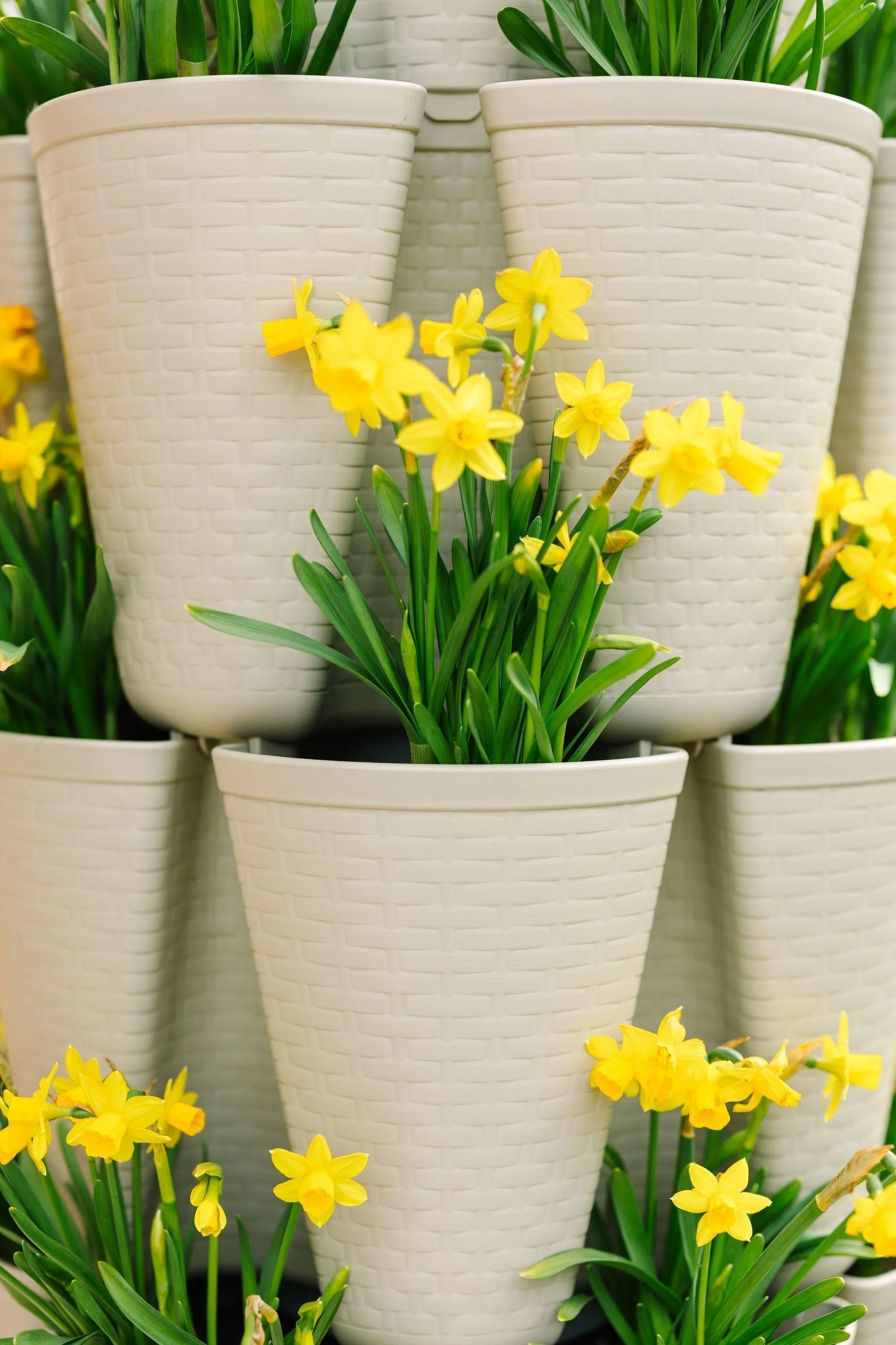 5 Tier GreenStalk Garden Original Vertical Planter - Basket Weave Texture - Image 5
