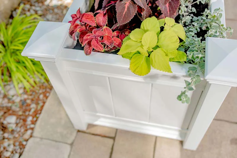 Barcelona Planter Box - Image 4