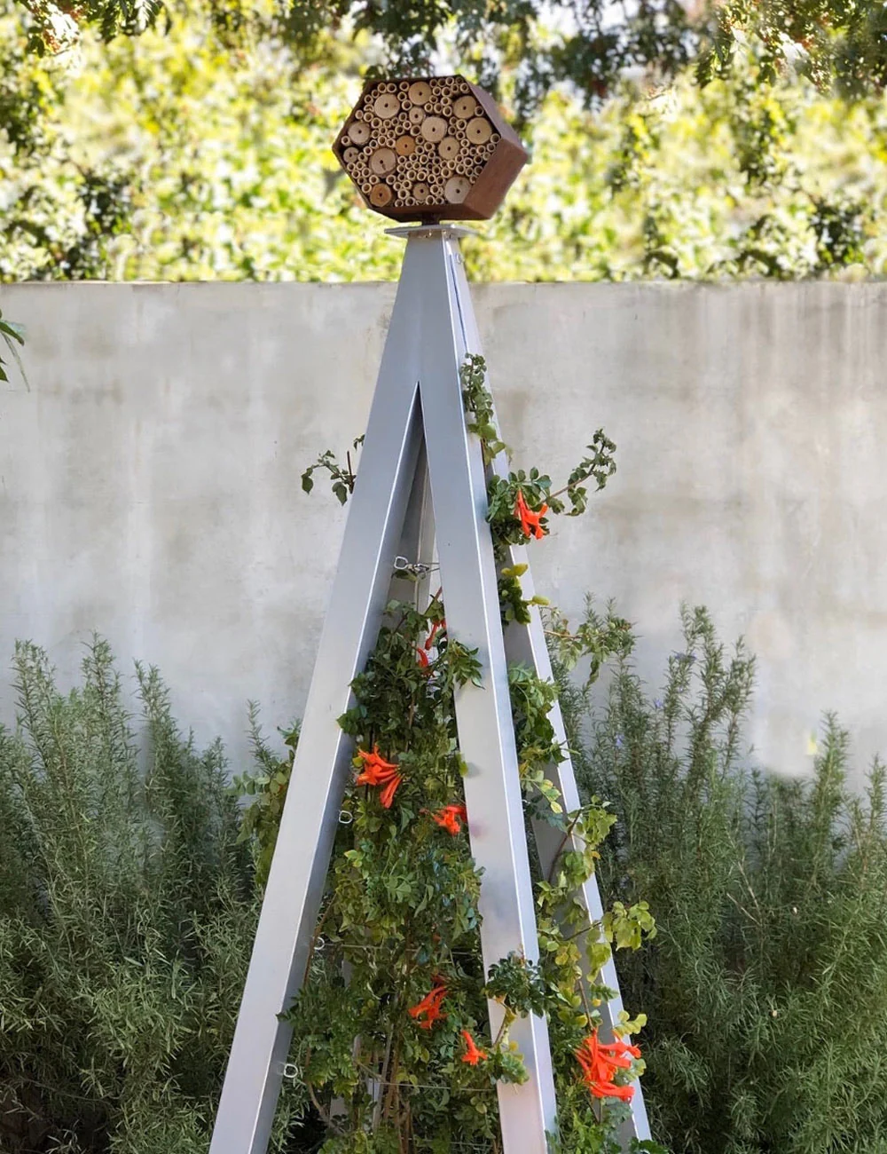 Bee Bungalow with Trellis - Image 3