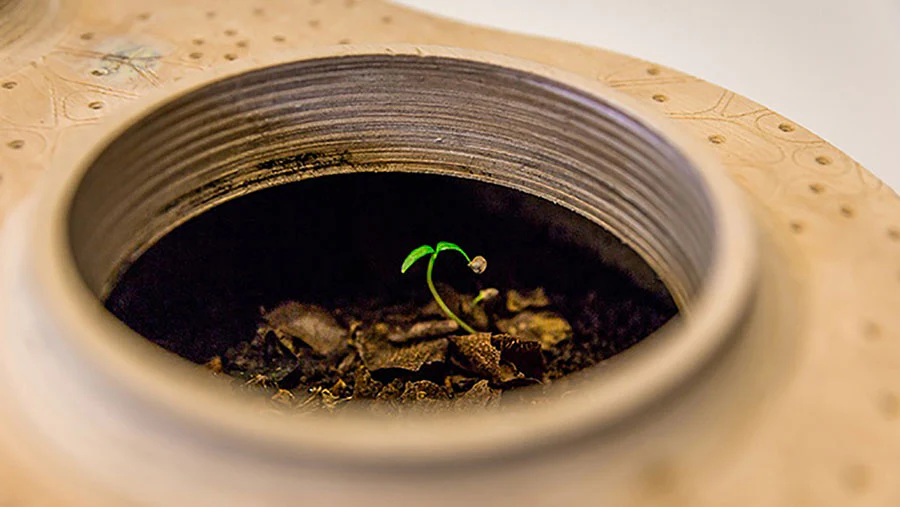 Biovessel Living Composter - Image 4