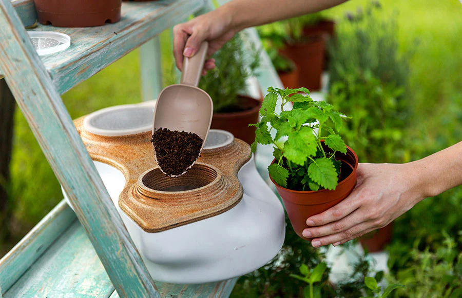 Biovessel Living Composter - Image 5