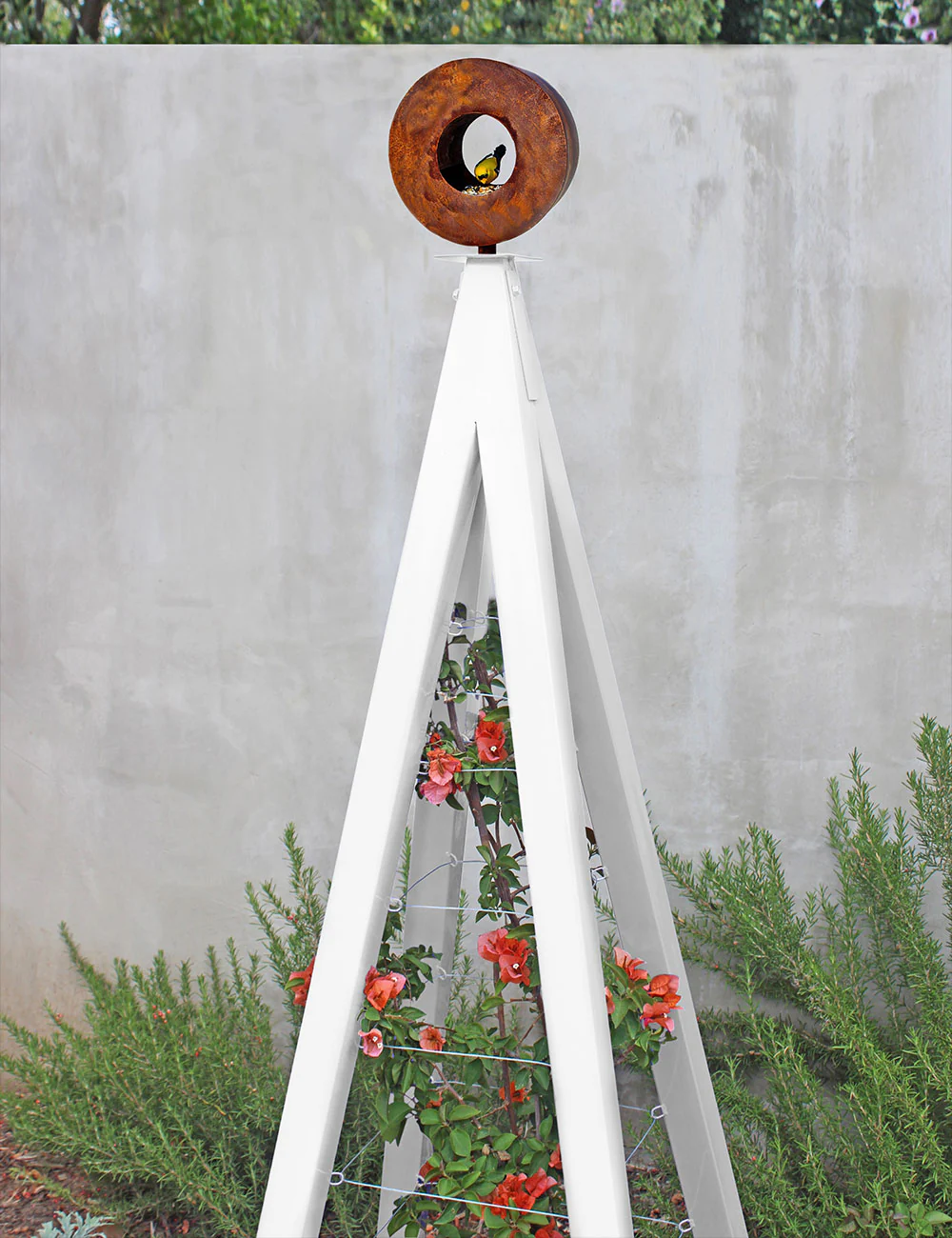 Bird Café with Trellis - Image 4