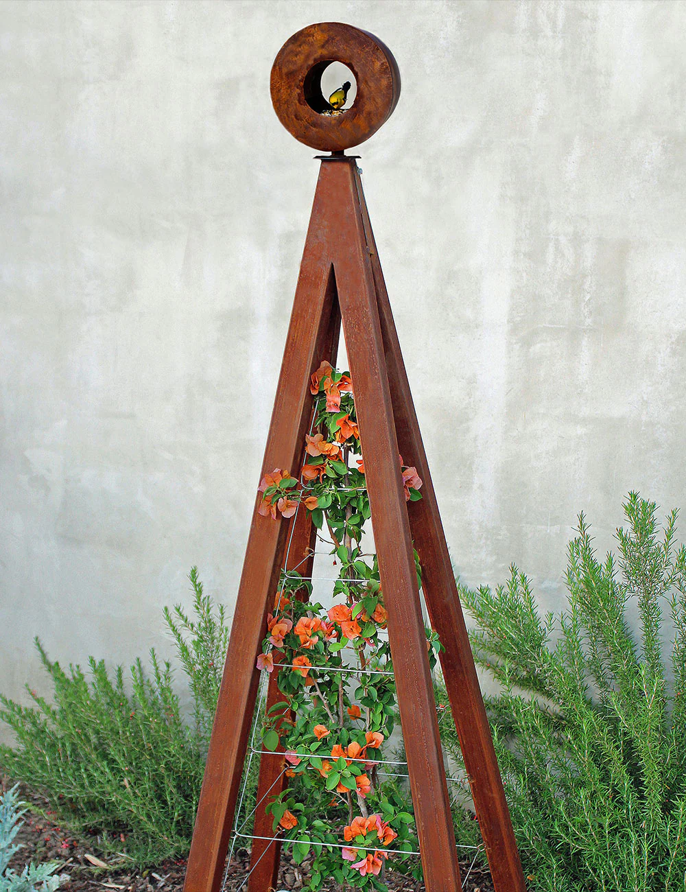 Bird Café with Trellis - Image 8