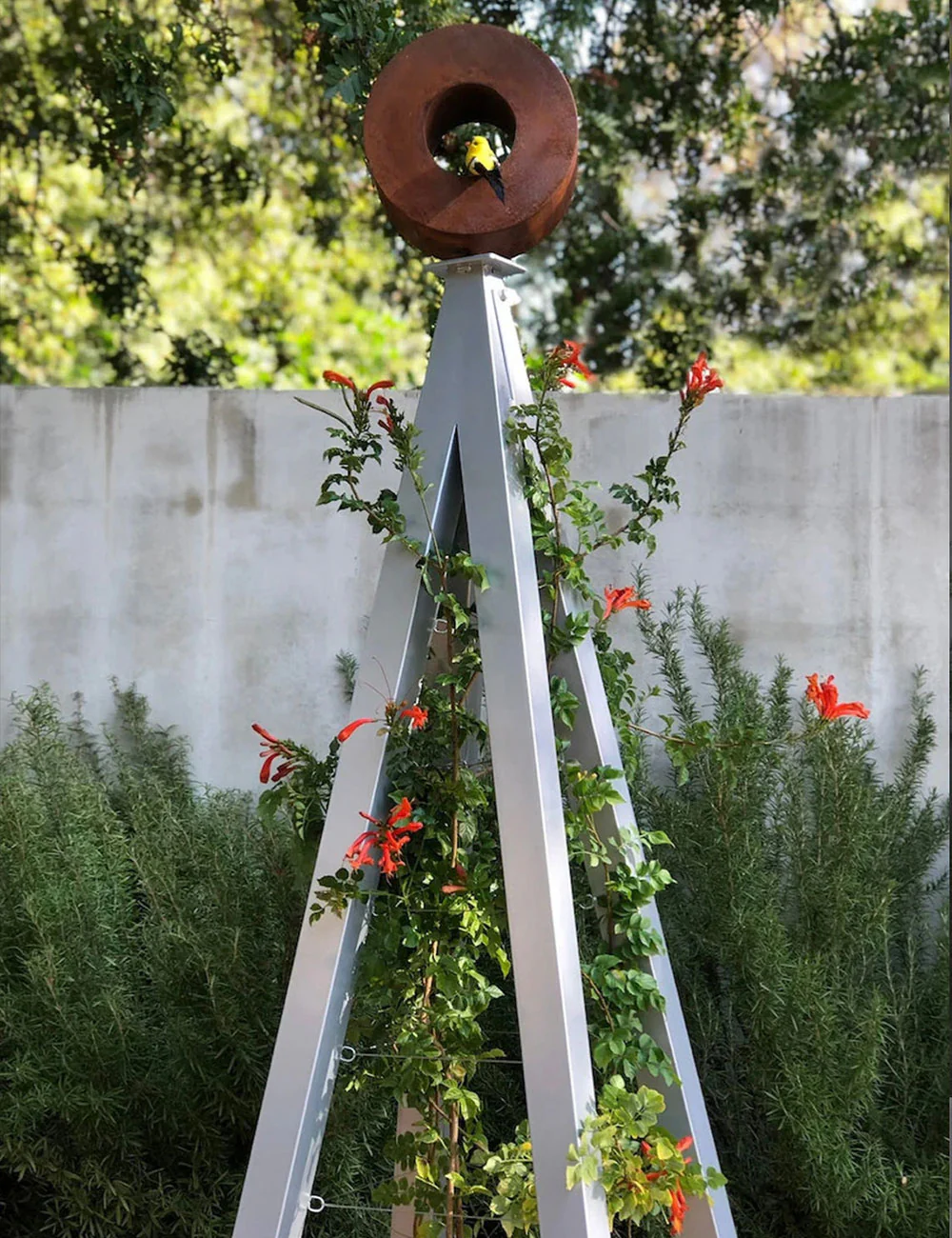 Bird Café with Trellis - Image 9