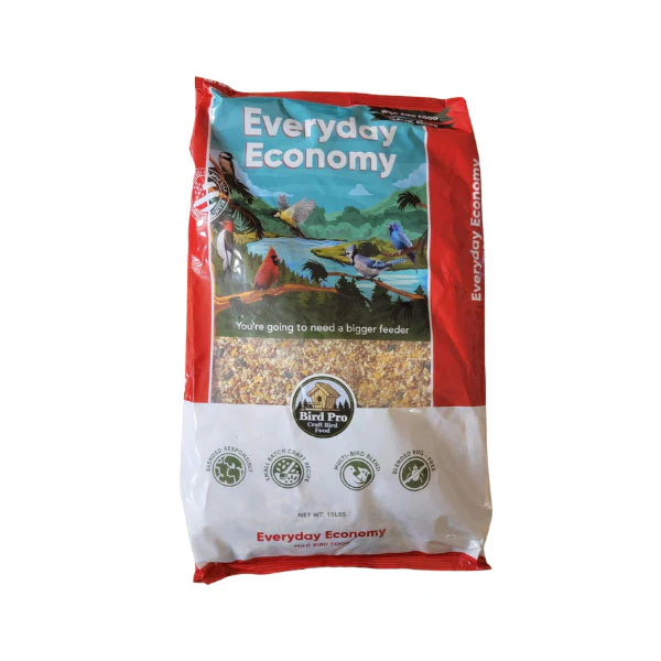 Bird Pro Economy - Image 3
