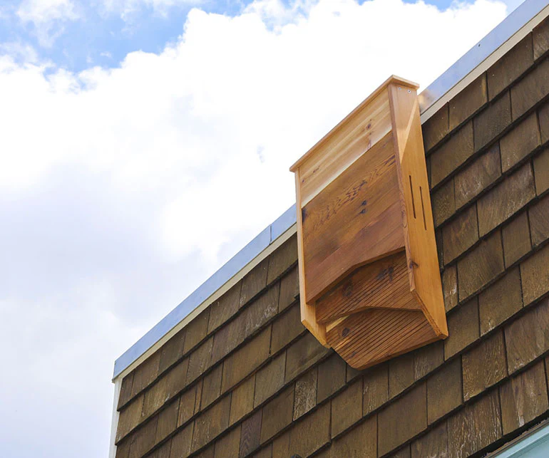 Carlsbad Bat House - Image 5