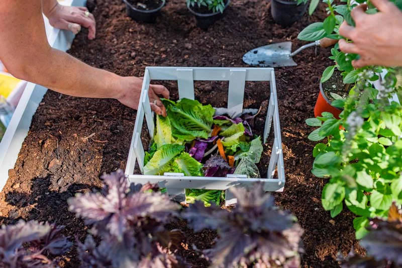 Classic 3x5 Keyhole Composting Garden - Image 10