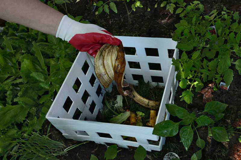 Classic 4x4 Keyhole Composting Garden - Image 6