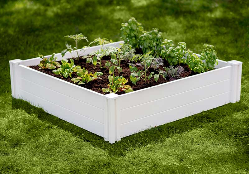 Classic 4x4x11 Garden Bed - Image 7