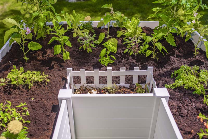 Classic 6x6 Keyhole Composting Garden - Image 4