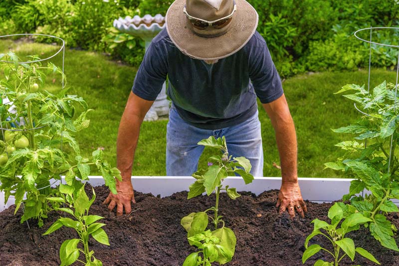 Classic 6x6 Keyhole Composting Garden - Image 5