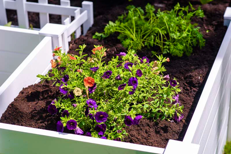 Classic 6x6 Keyhole Composting Garden - Image 9