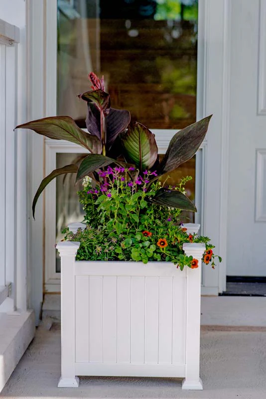 Classic Cardiff Planter Box - Image 4
