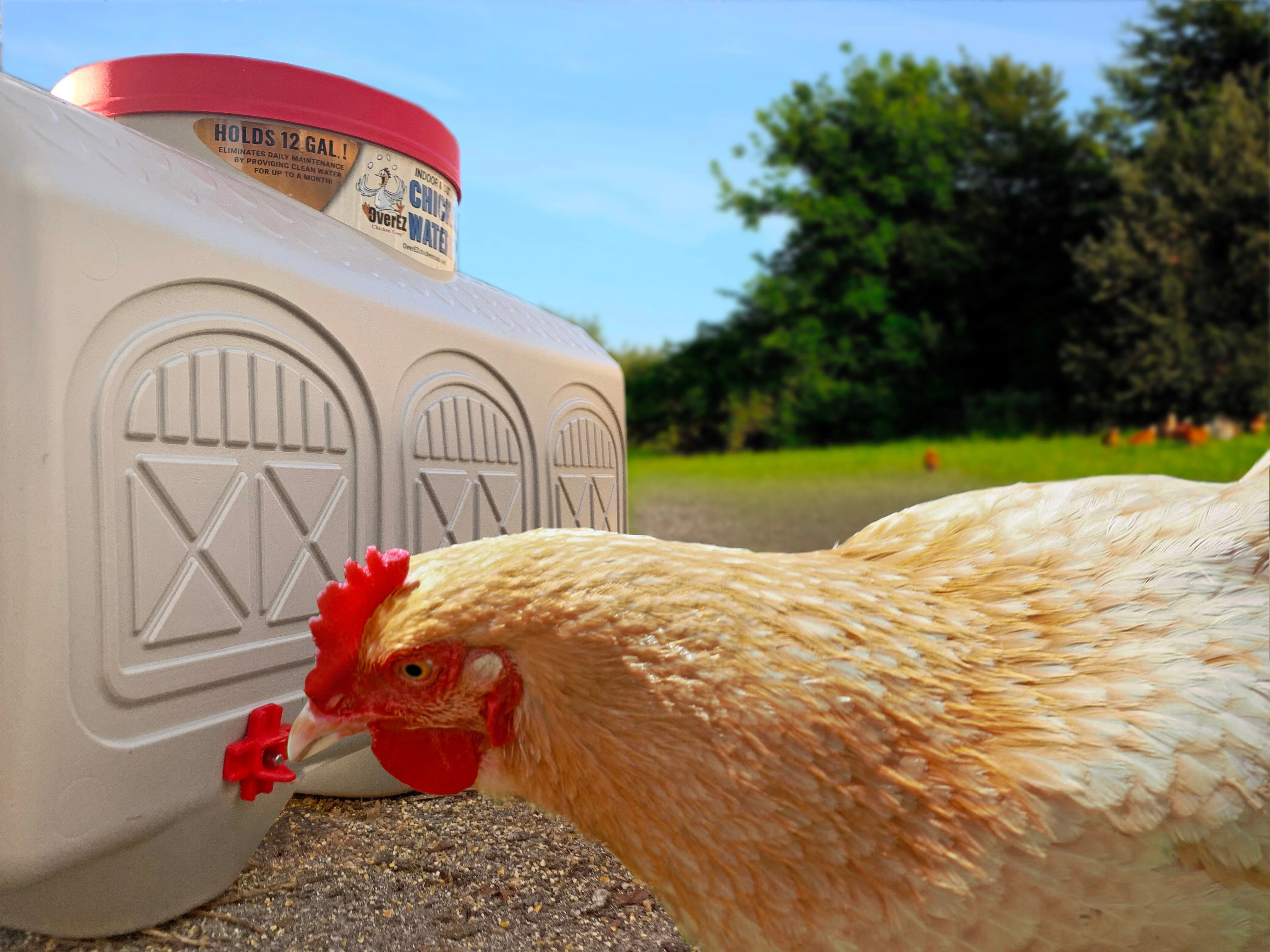Classic Waterer - Image 2