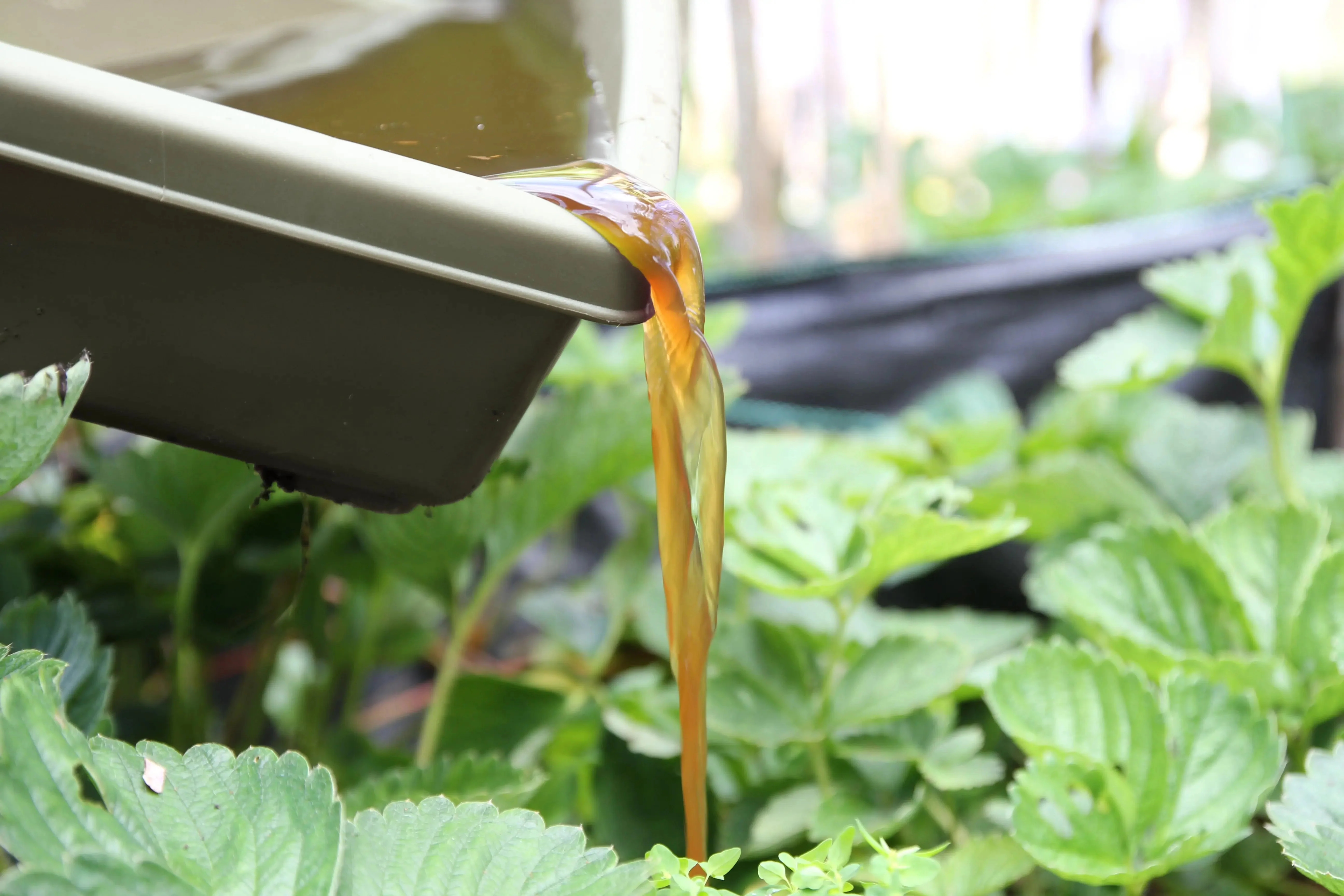 Hungry Bin Continuous Flow Worm Farm - Image 11