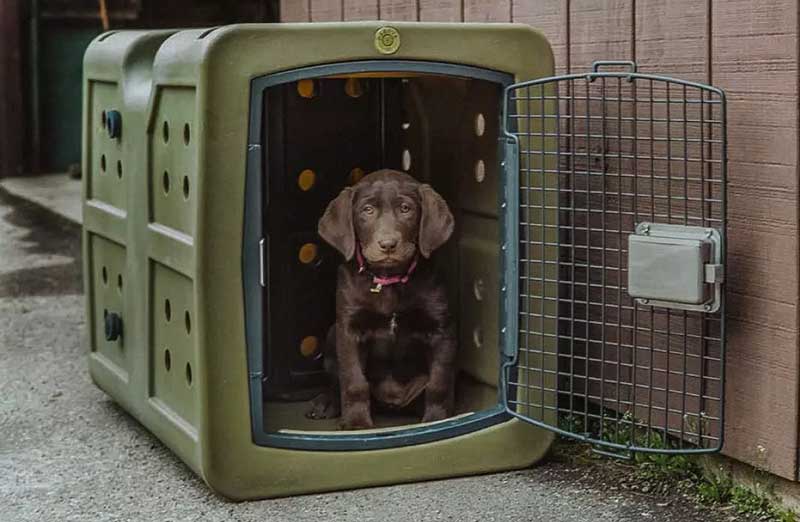 Dakota 283 Forever Insert Kennel Divider - Image 7
