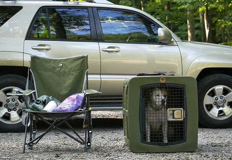 Dakota 283 G3 Kennel - Large - Image 10