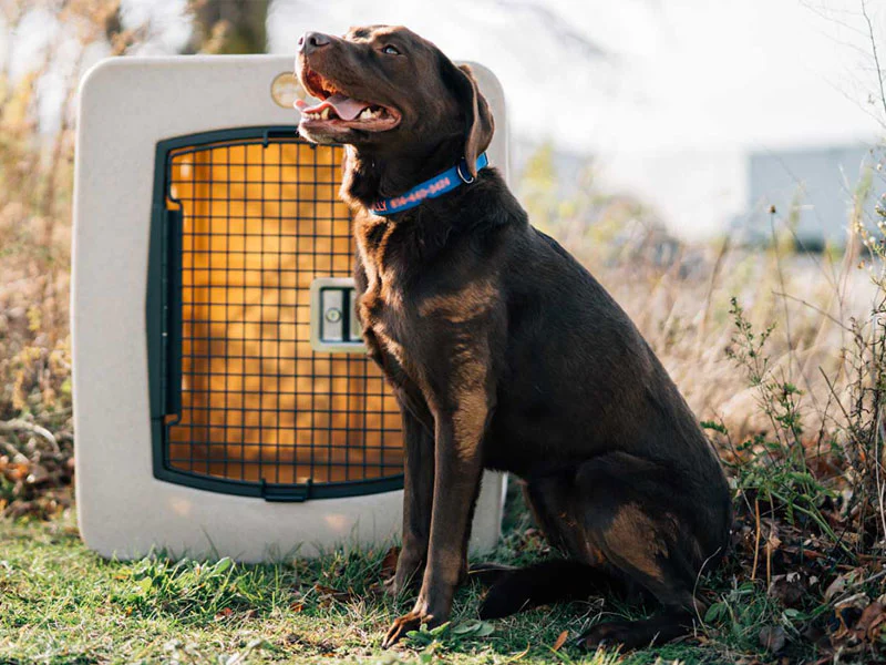 Dakota 283 G3 Kennel - X-Large - Image 10
