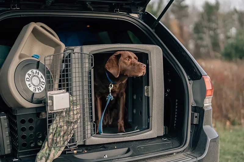 Dakota 283 T1 Kennel - Image 3