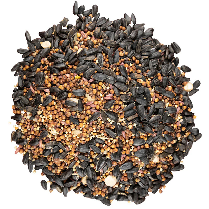 Easy Fill Bird Feeder - Bird Pro Cherry Bonanza Bundle - Image 4