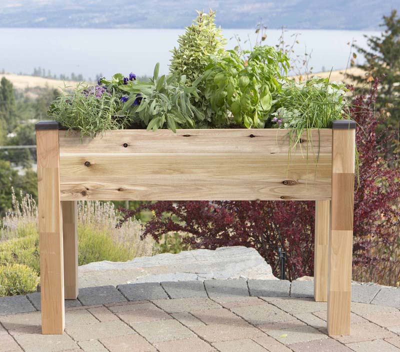 Elevated Cedar Planter (34" x 49" x 30") - Image 4