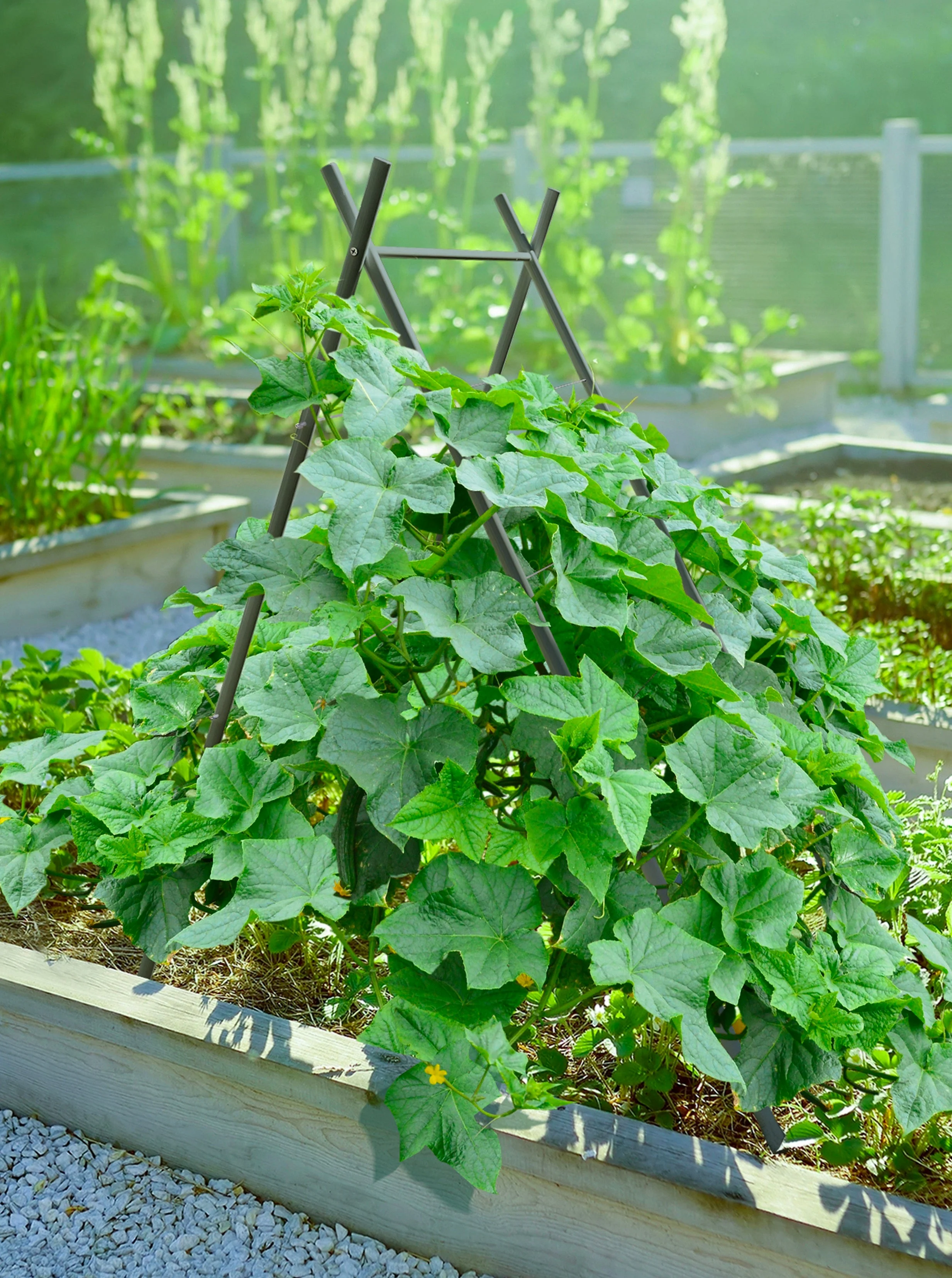 Modern A-Frame Trellis - Image 10
