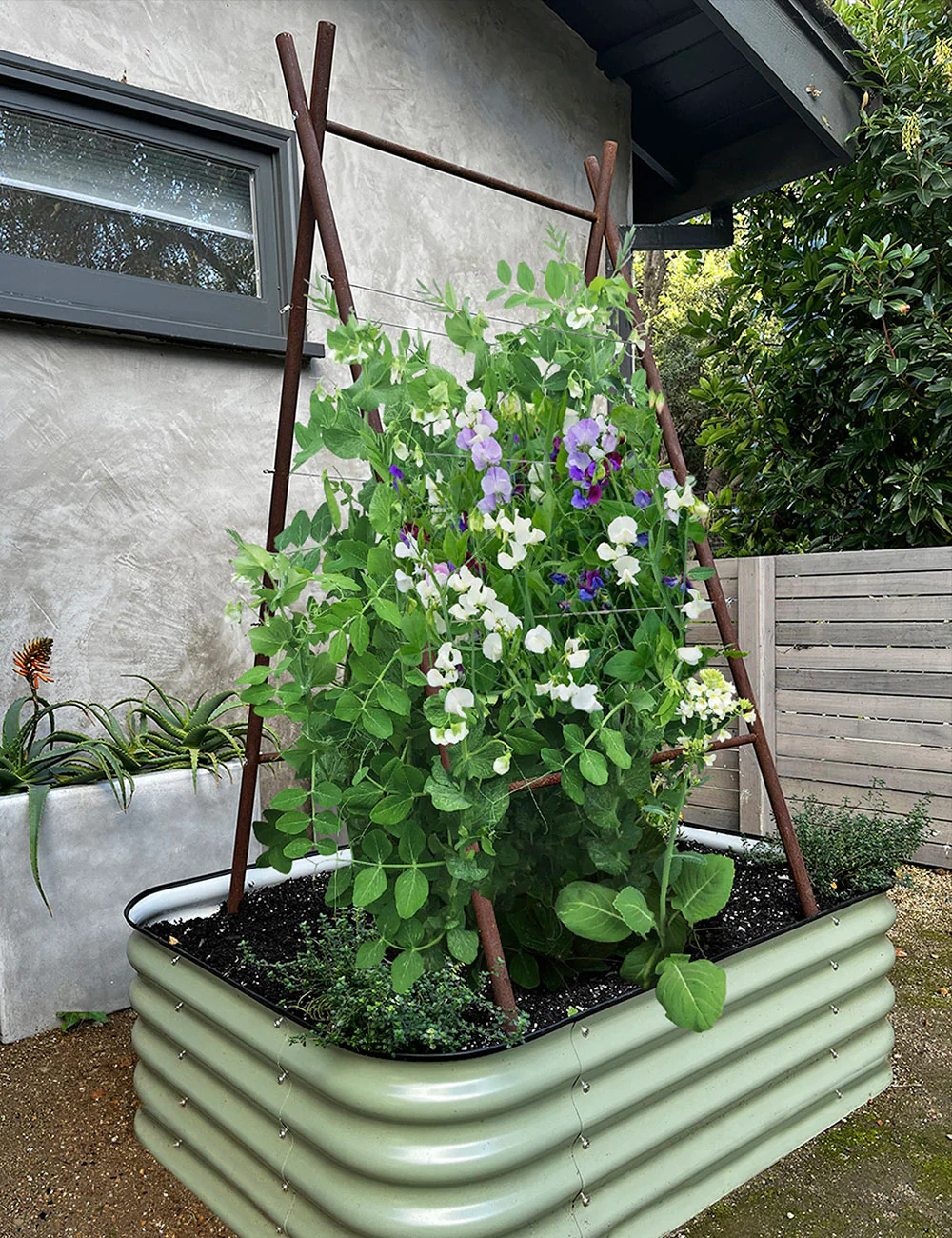Modern A-Frame Trellis - Image 4