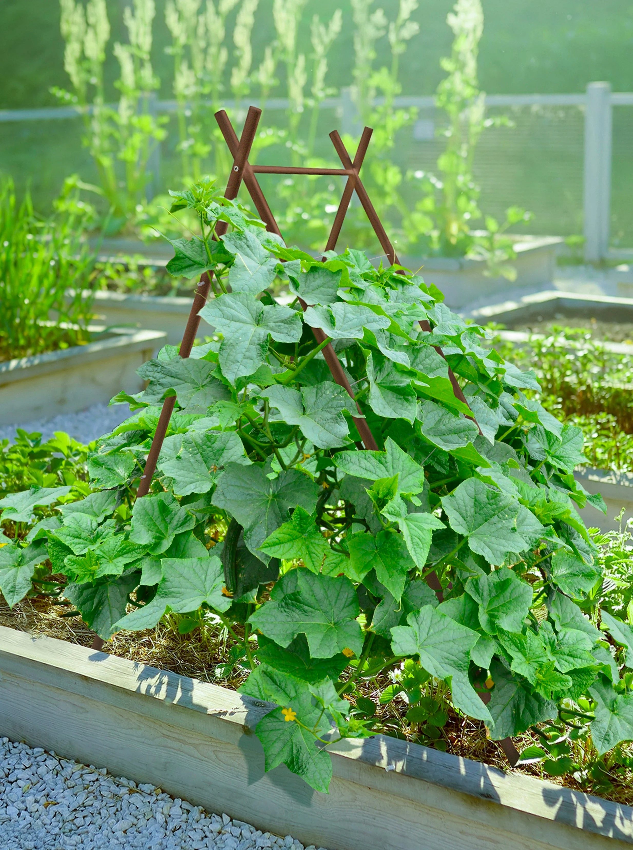 Modern A-Frame Trellis - Image 5