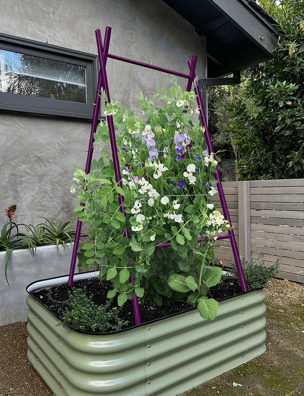 Modern A-Frame Trellis - Image 6