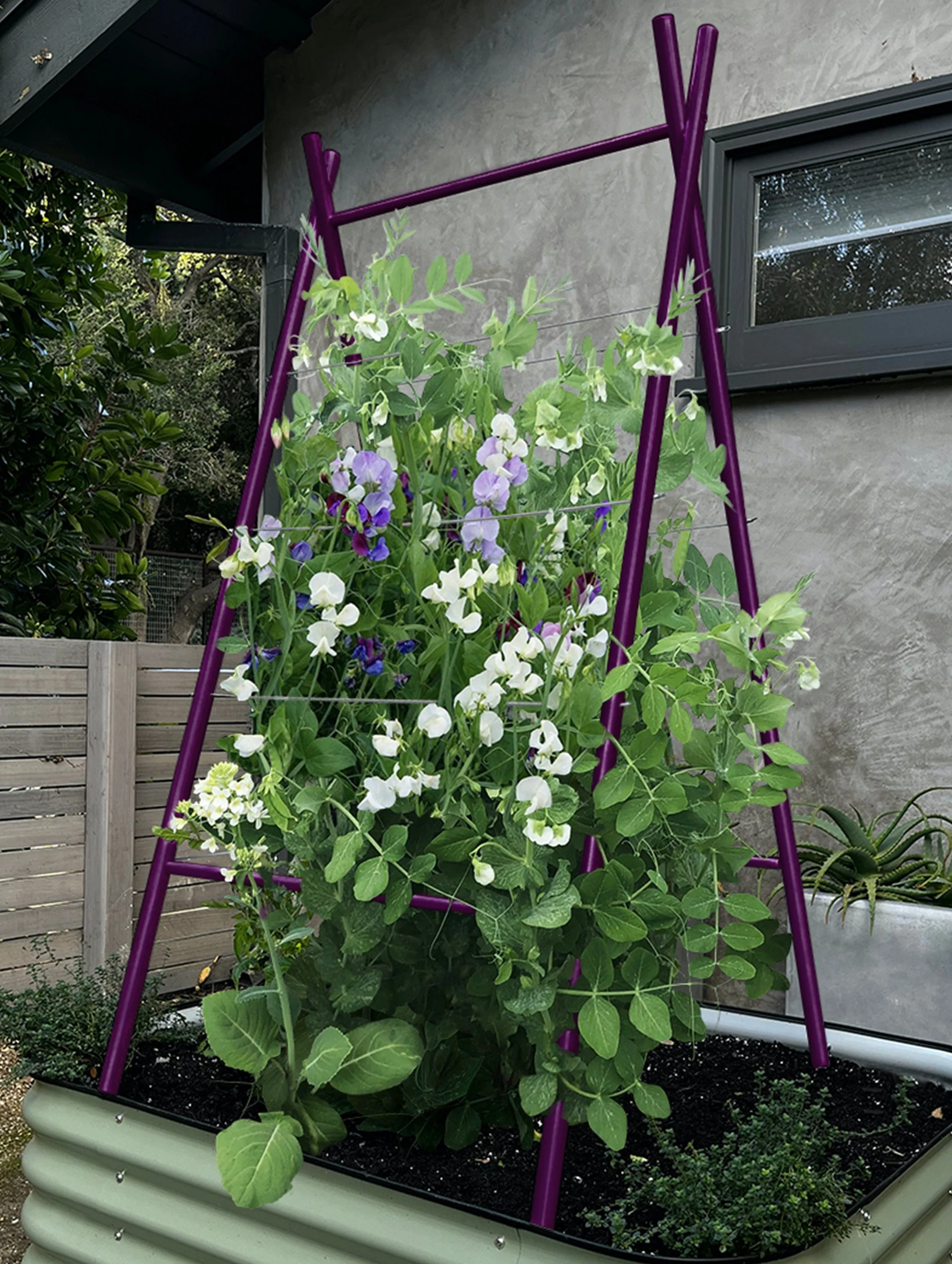 Modern A-Frame Trellis - Image 7