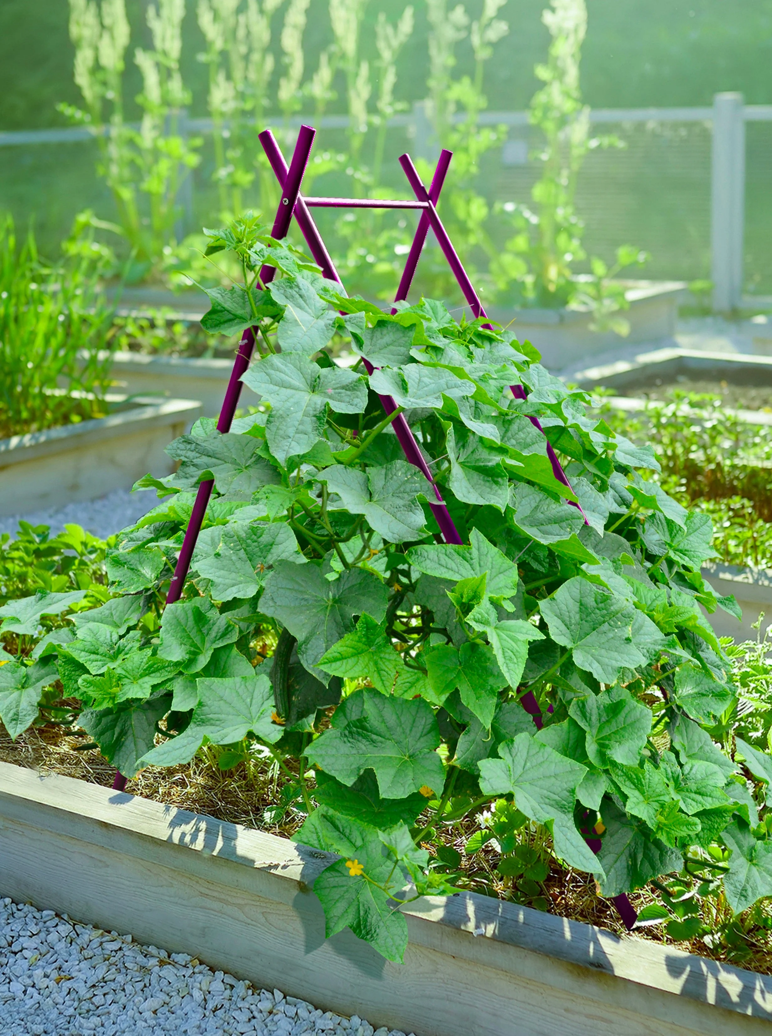 Modern A-Frame Trellis - Image 8