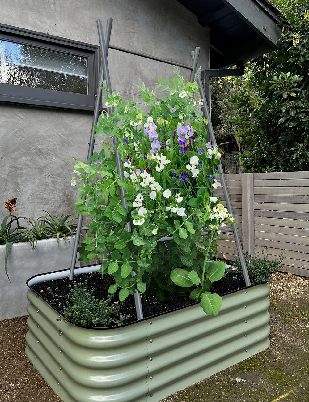 Modern A-Frame Trellis - Image 9