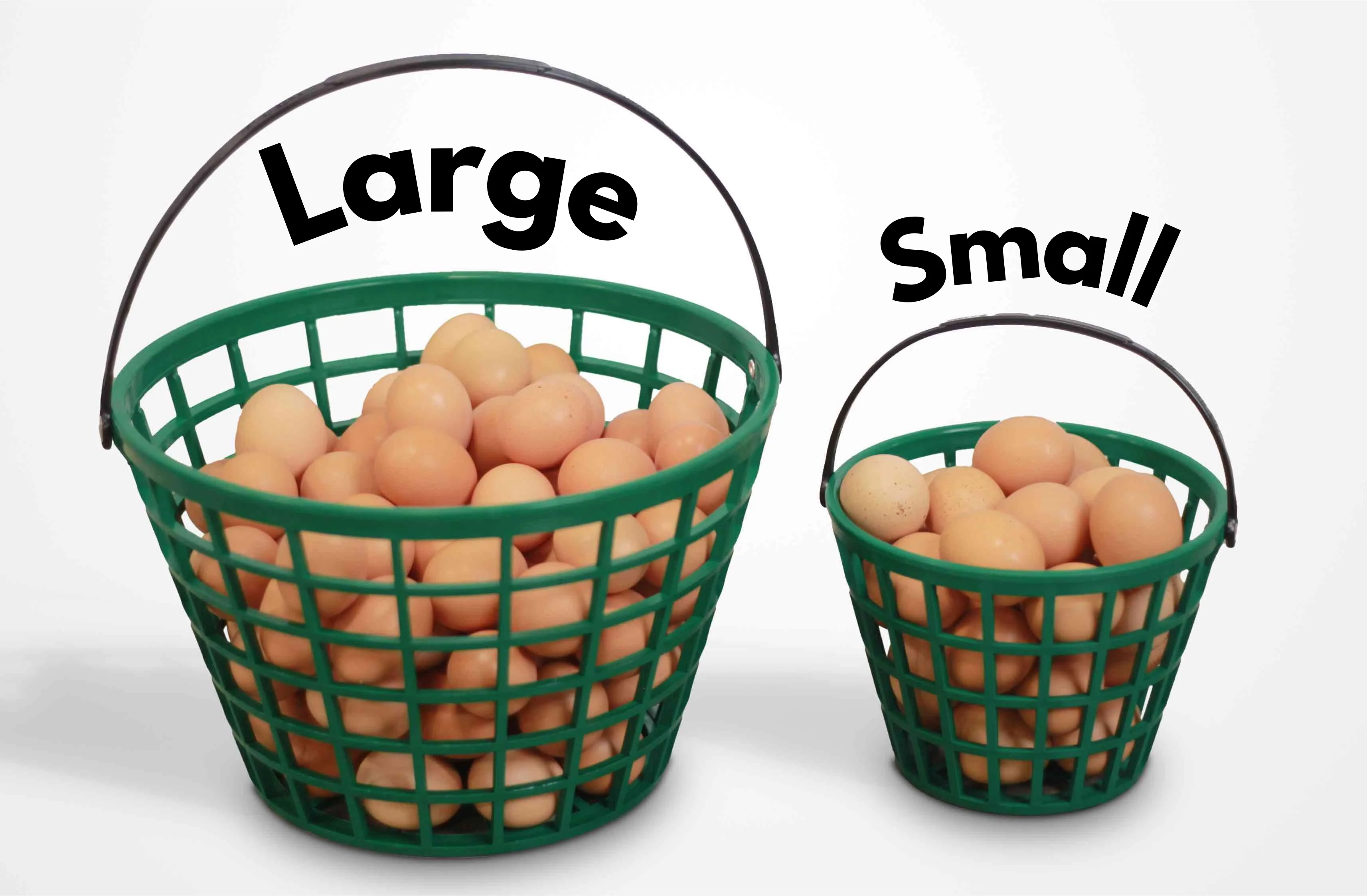 EZ-Gather Egg Basket - Image 3