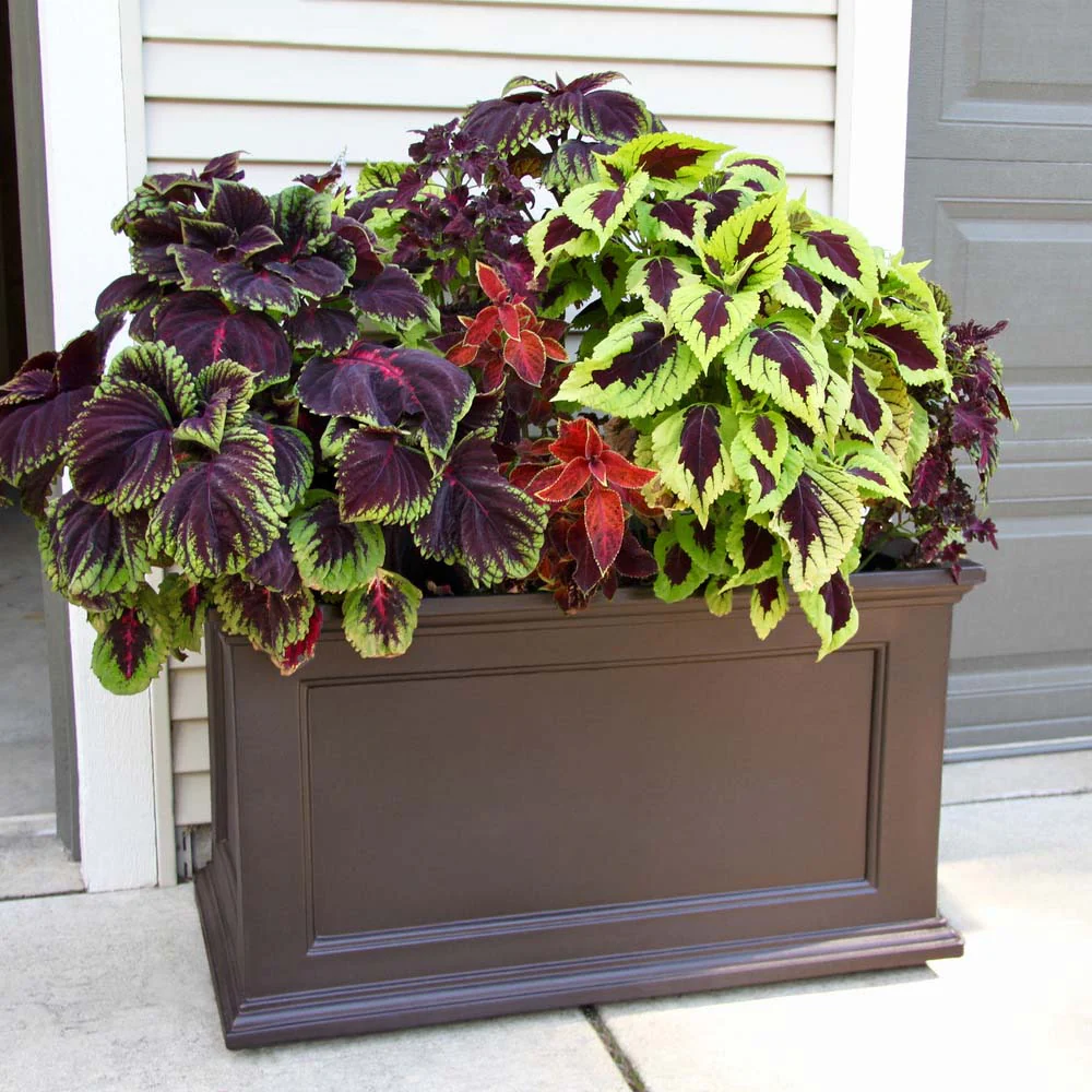 Fairfield 20in x 36in Rectangle Planter - Image 9