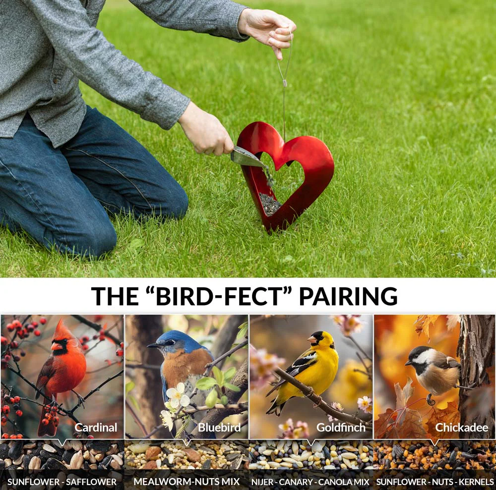 Fly Thru⢠Heart Copper Bird Feeder - Image 4