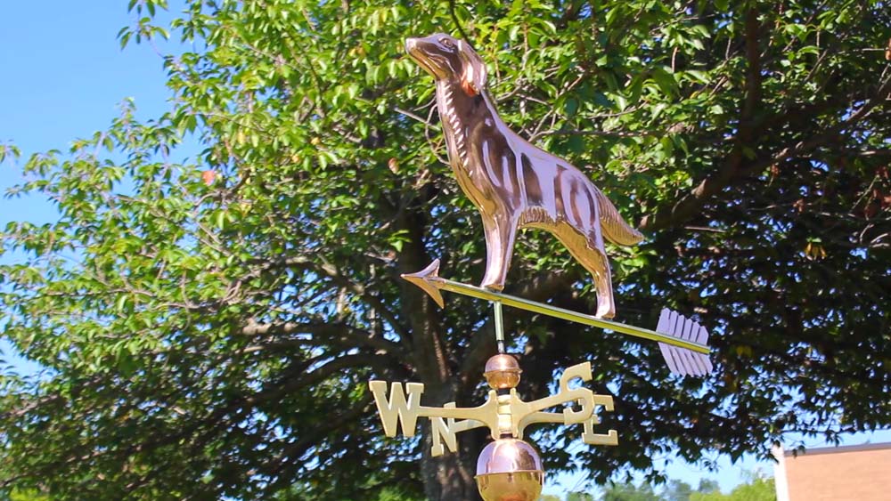 Golden Retriever Weathervane with Arrow - Image 3
