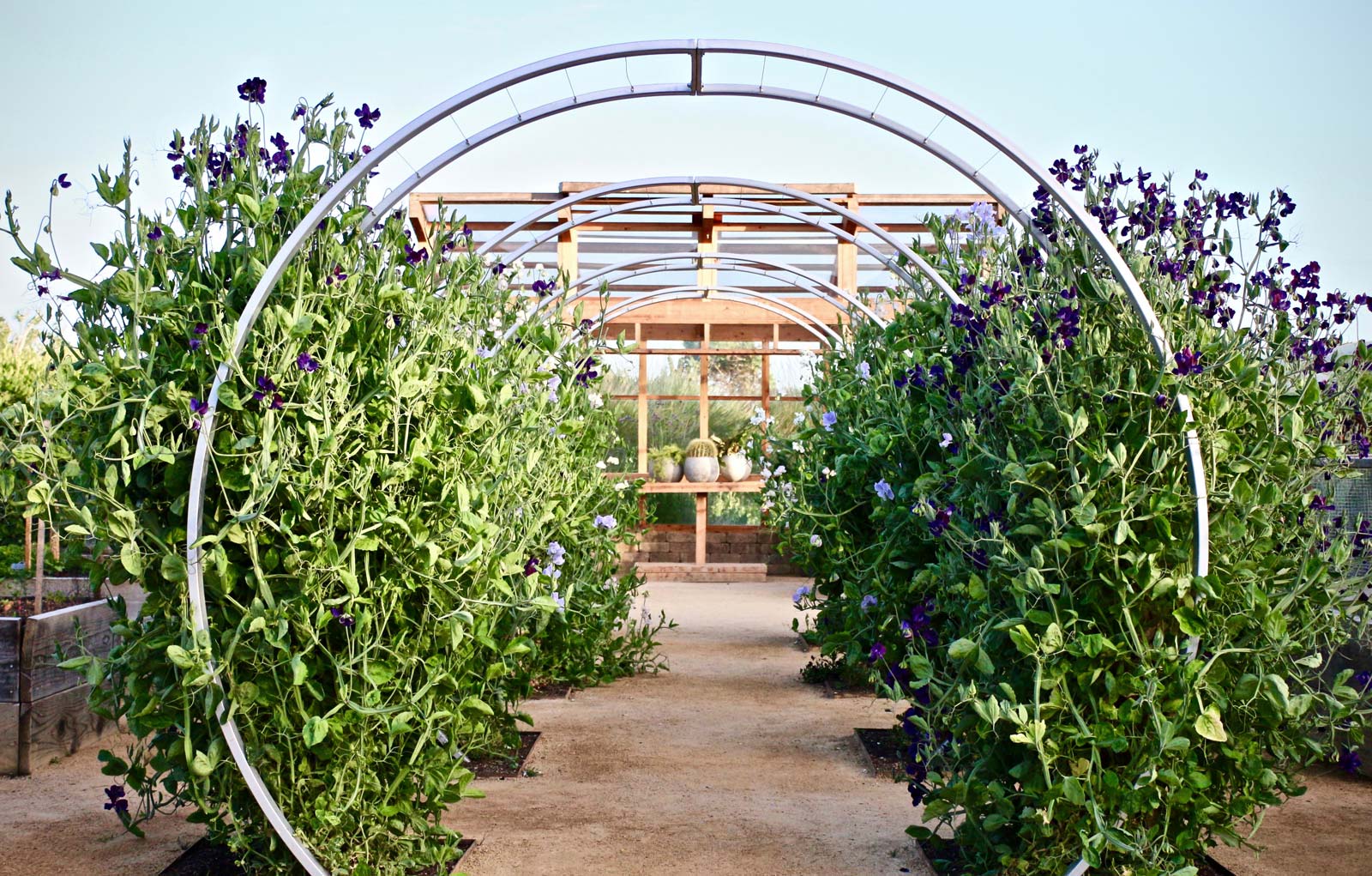 Gracie Modern Arbor - Image 3
