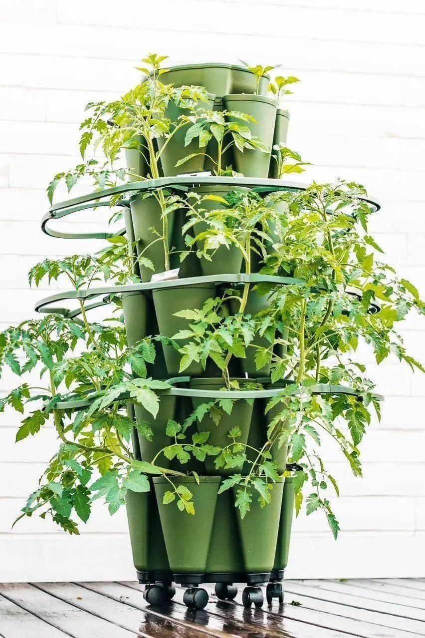 GreenStalk Garden Plant Support (Set of 3) - Image 5