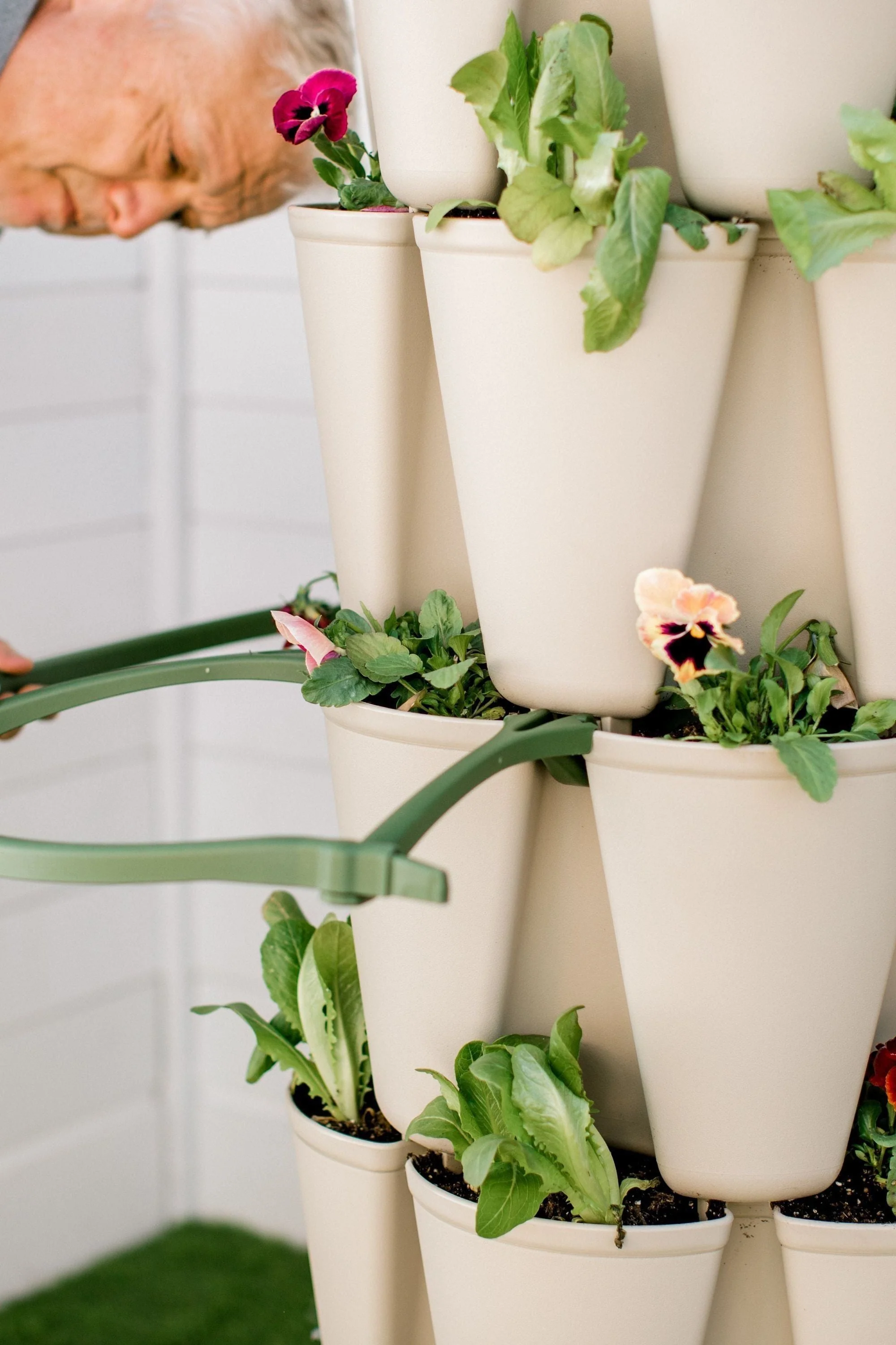 GreenStalk Garden Plant Support (Set of 3) - Image 8