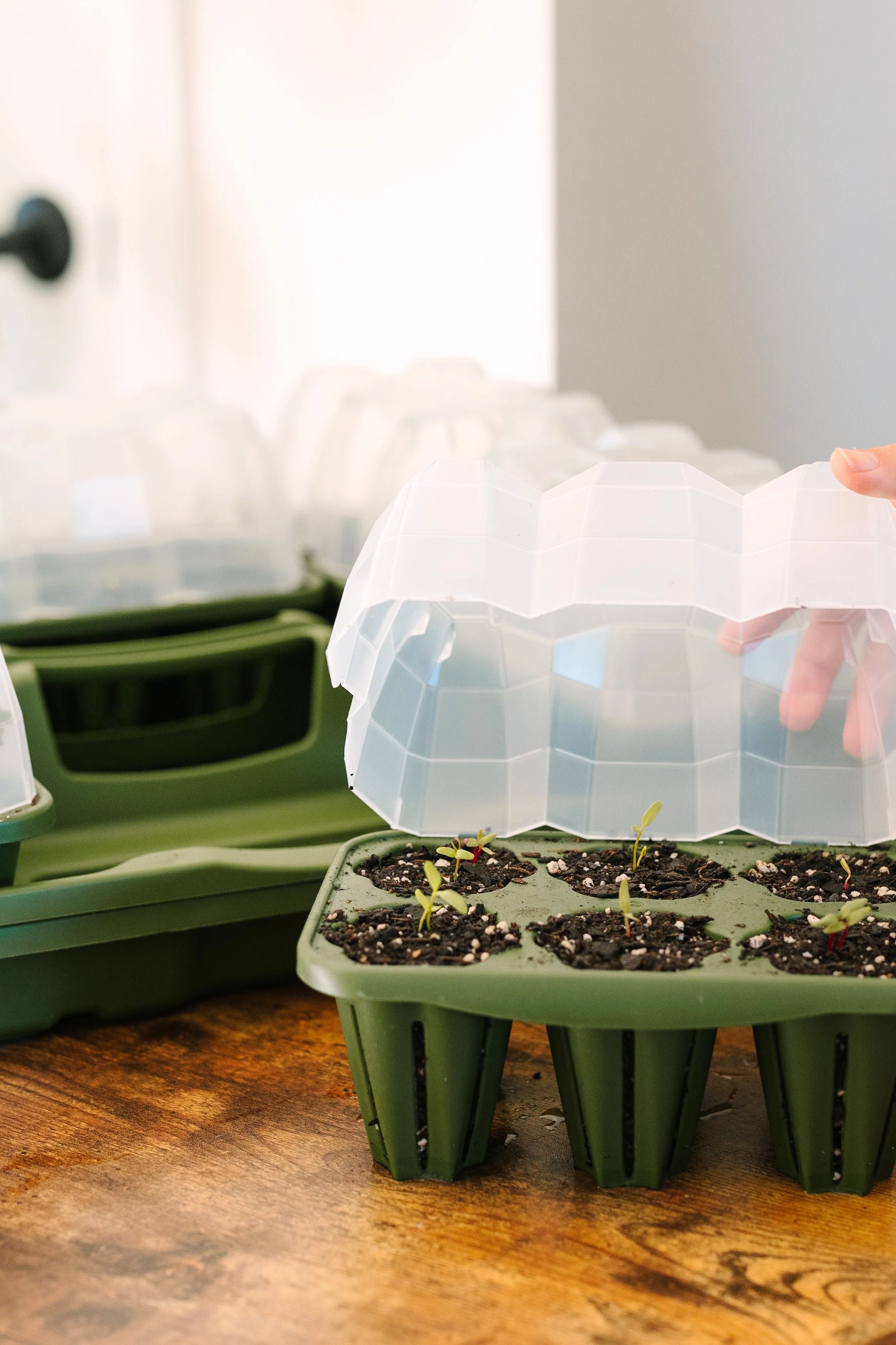 GreenStalk Garden Seed Starter Kit with Domes