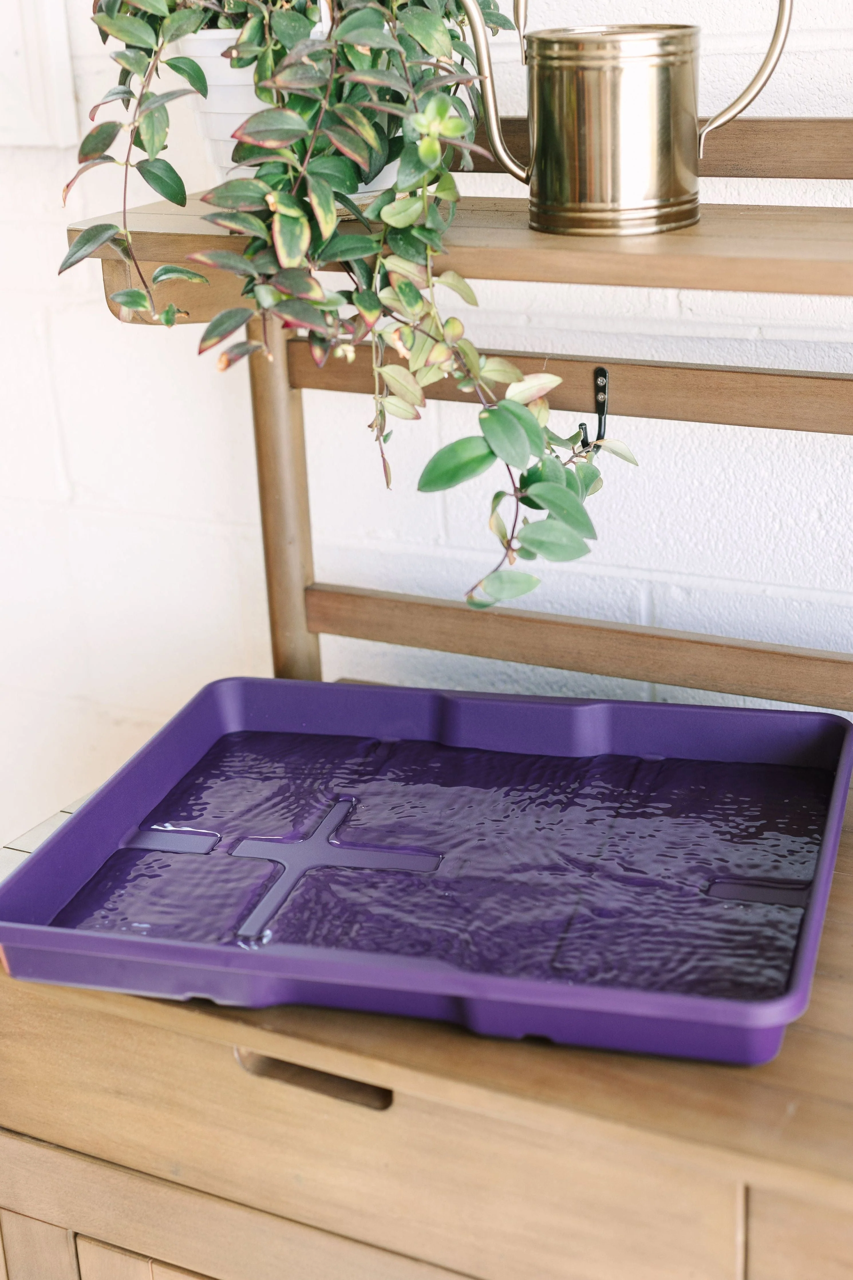 GreenStalk Garden Seed Starter Kit with Domes - Image 7