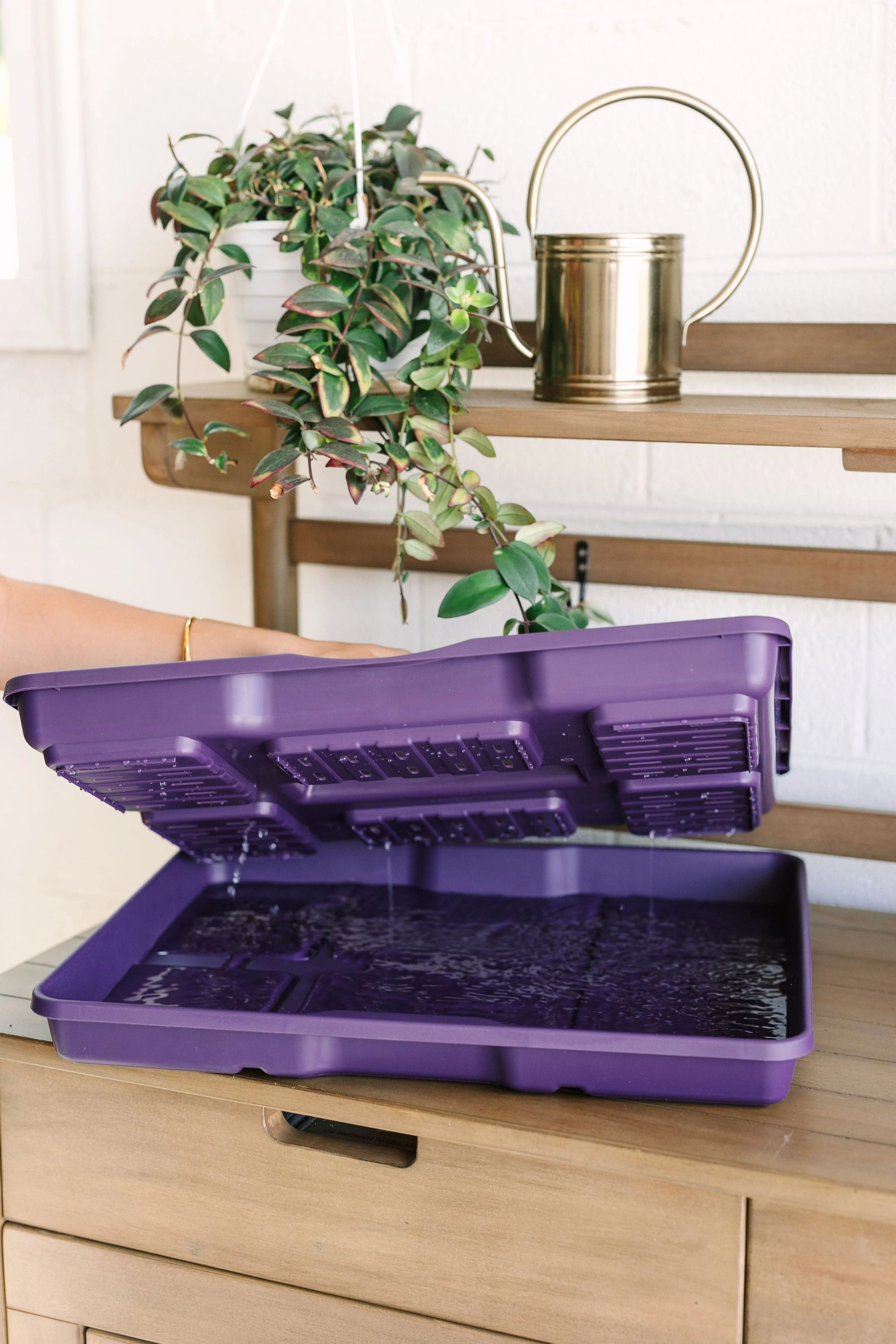GreenStalk Garden Seed Starter Kit with Domes - Image 8